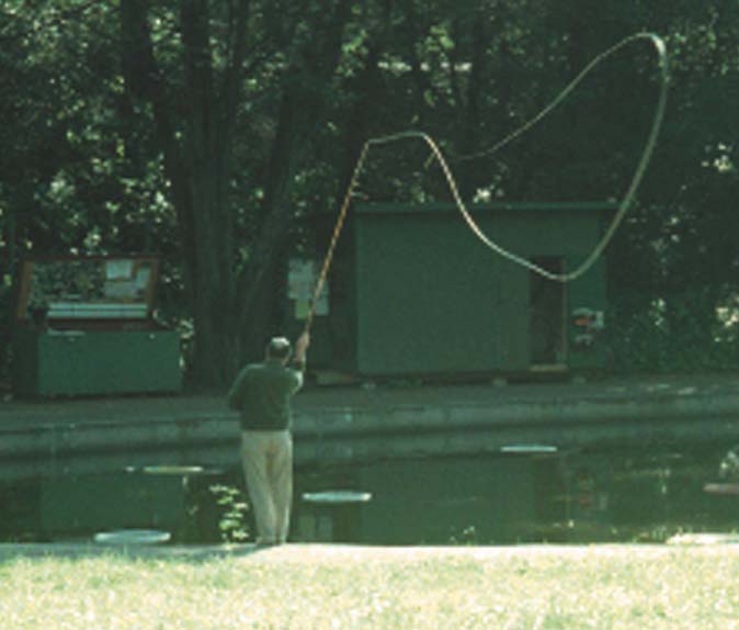 fly6.jpeg (32569 bytes)
