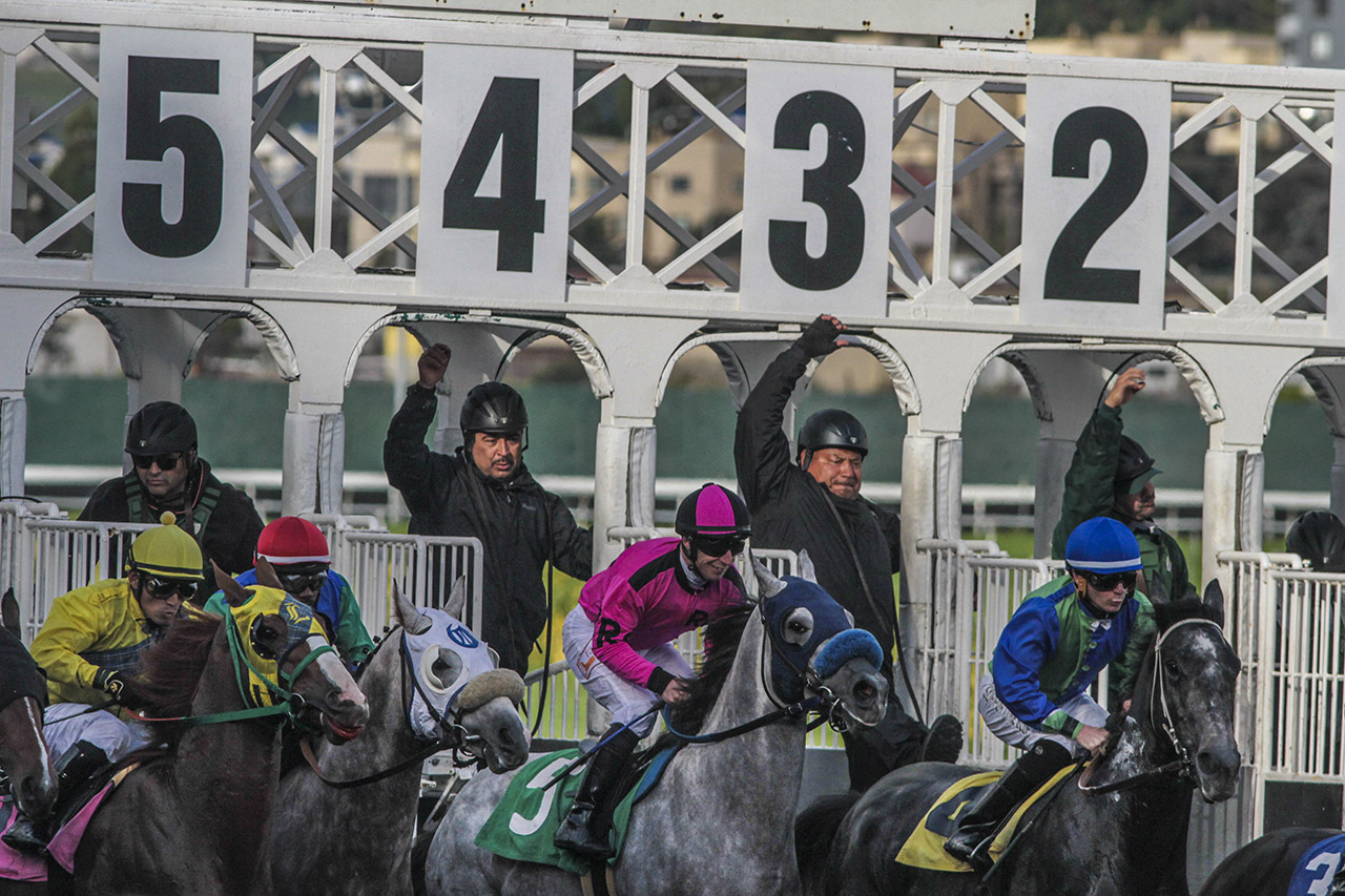 Races_03_Ludowitz