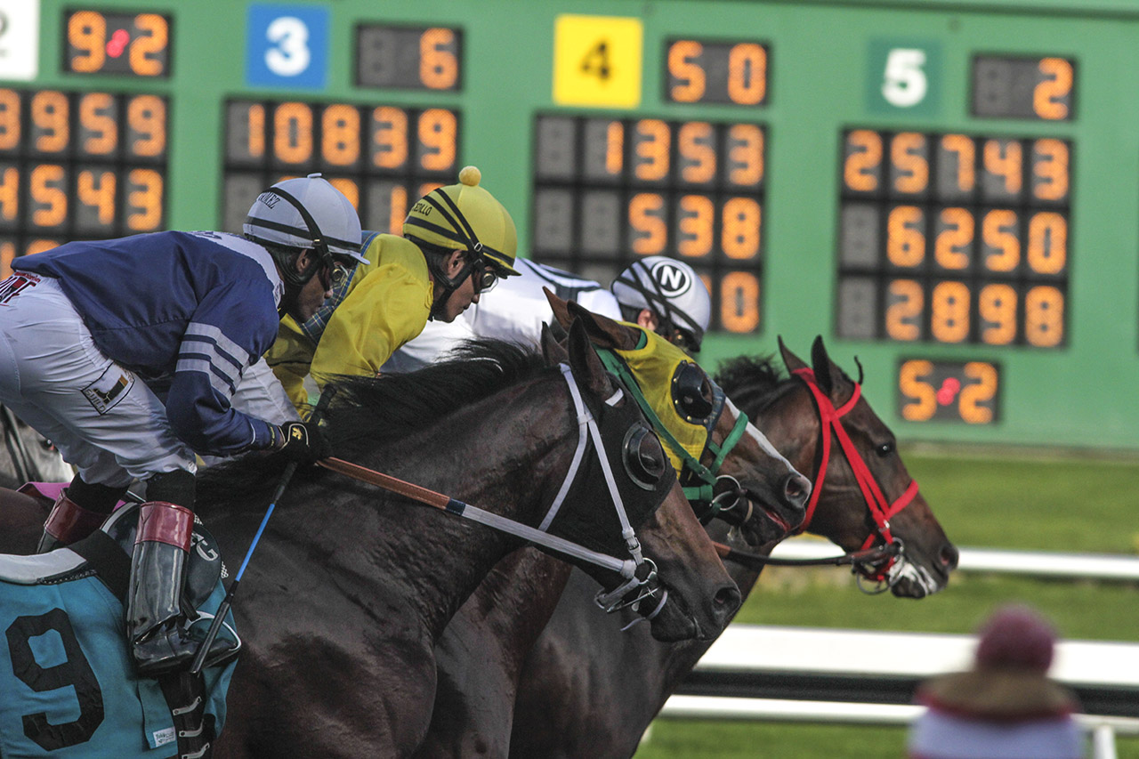 Races_06_Ludowitz