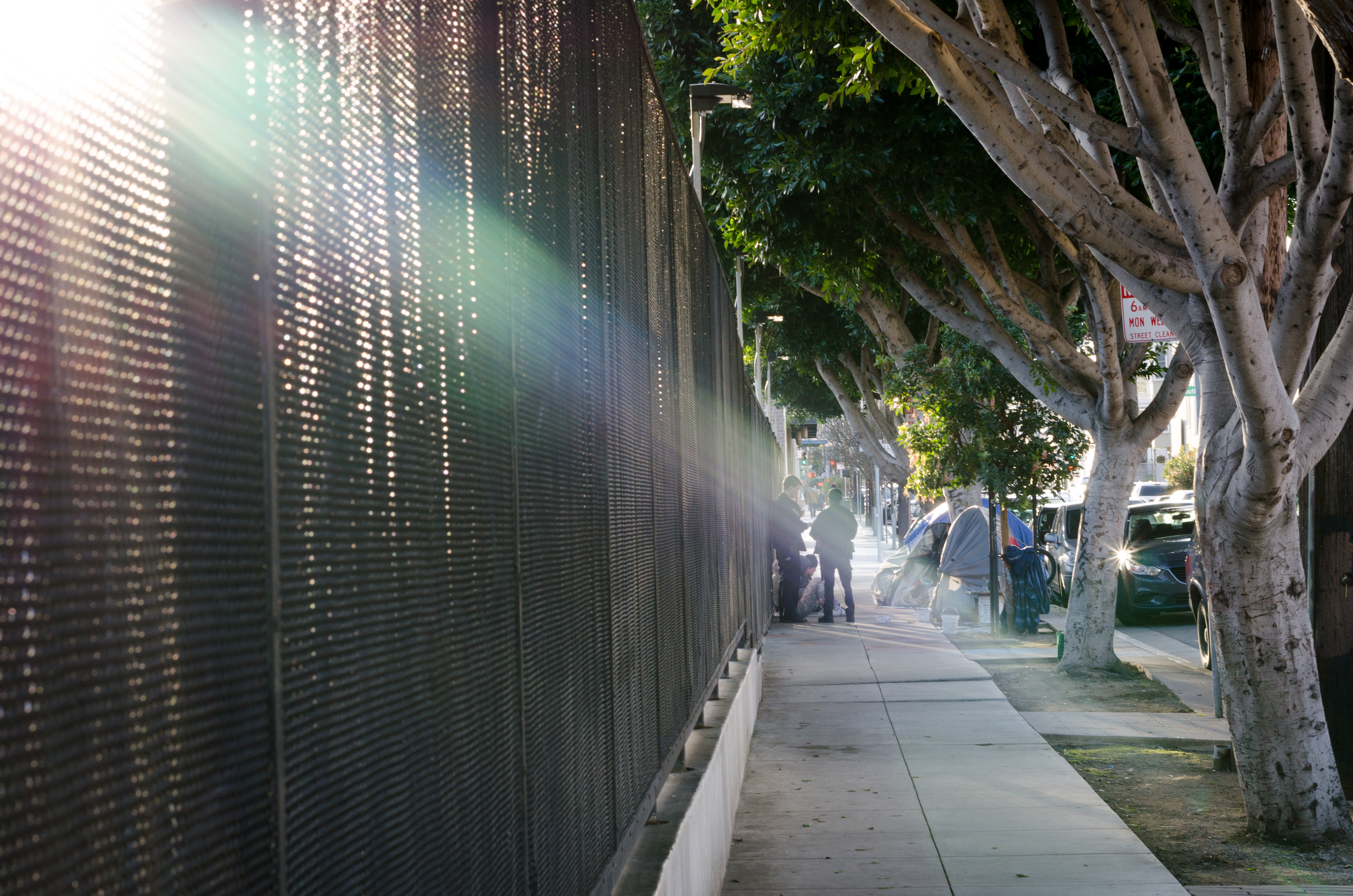 02_SFTrees_Stapp