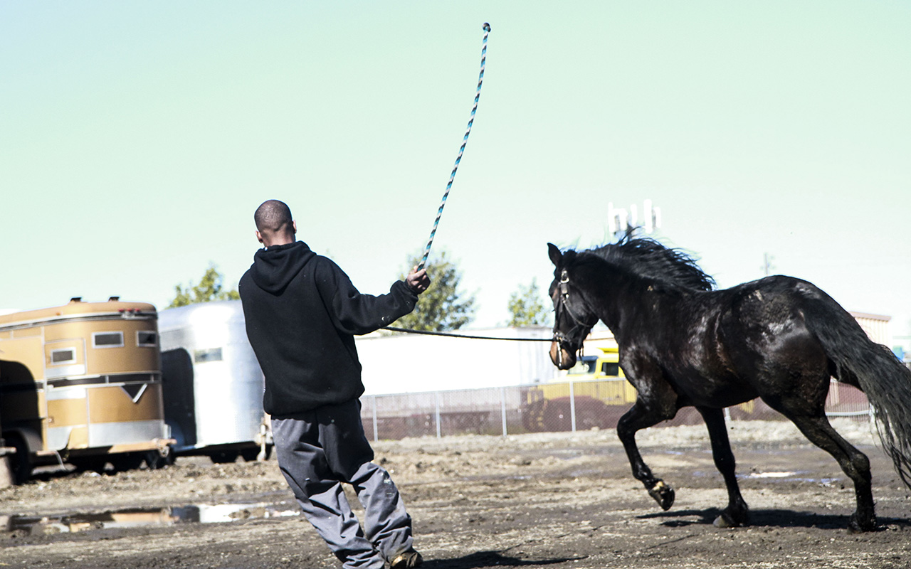 02_horsestable_melles