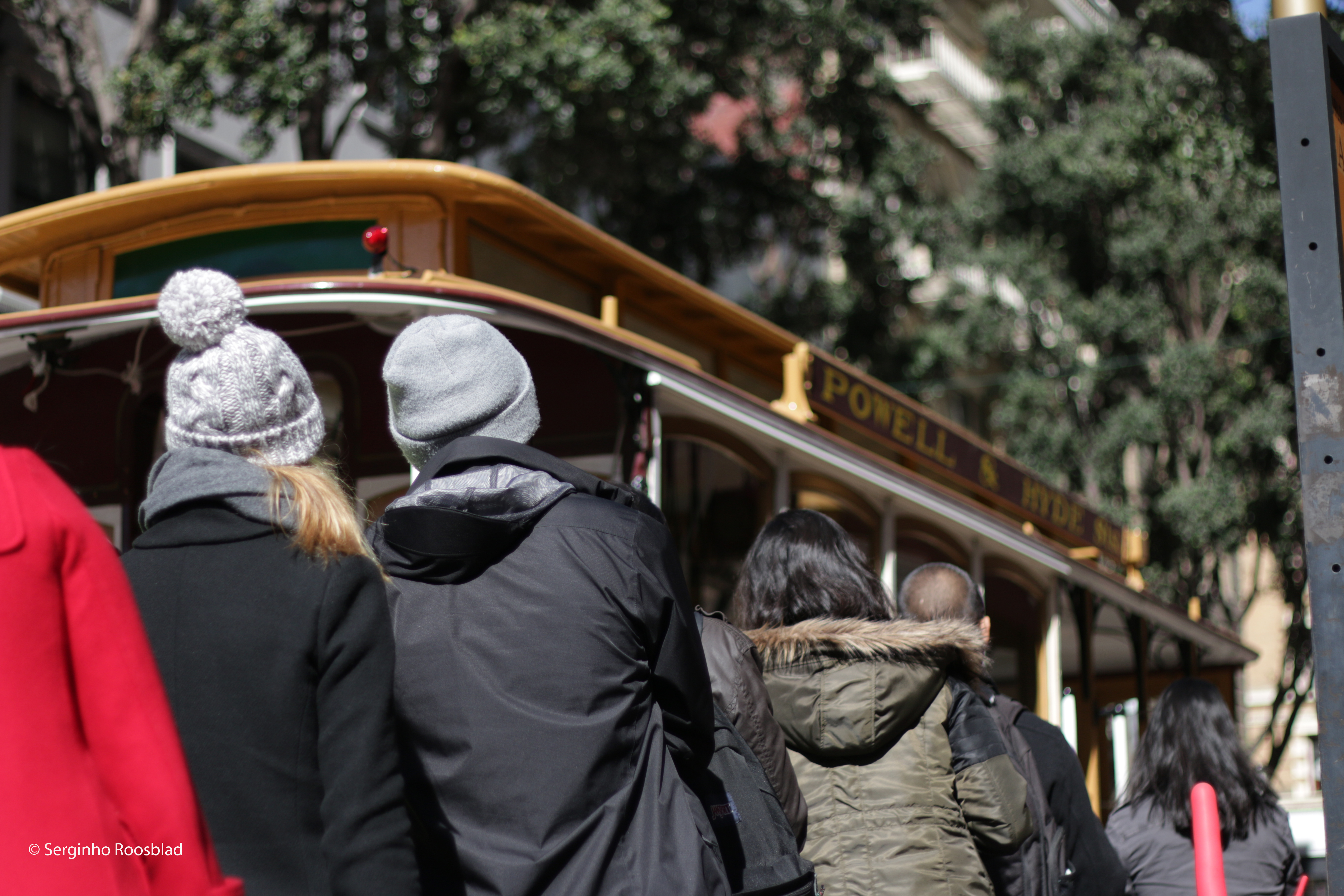 03_cablecar_roosblad