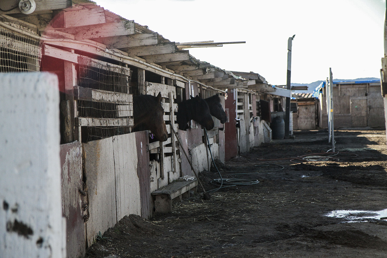 04_horsestable_melles