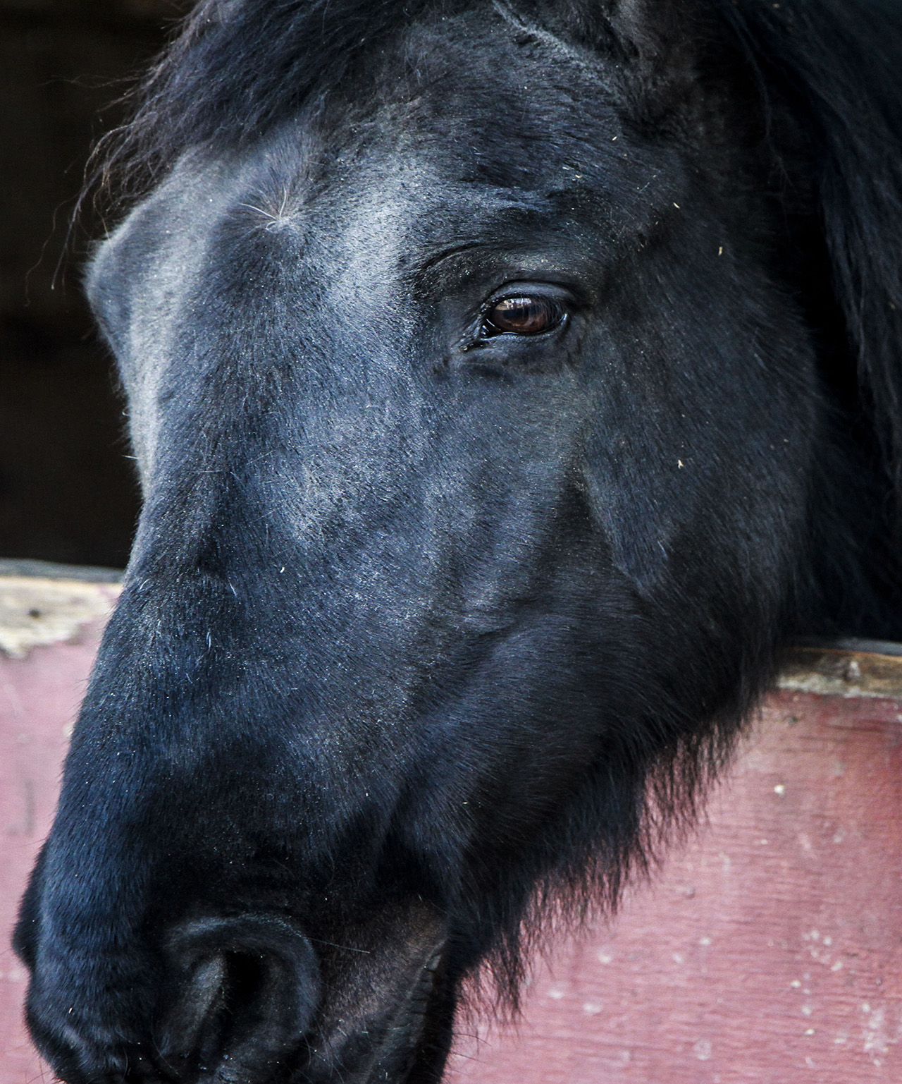 05_horsestable_melles
