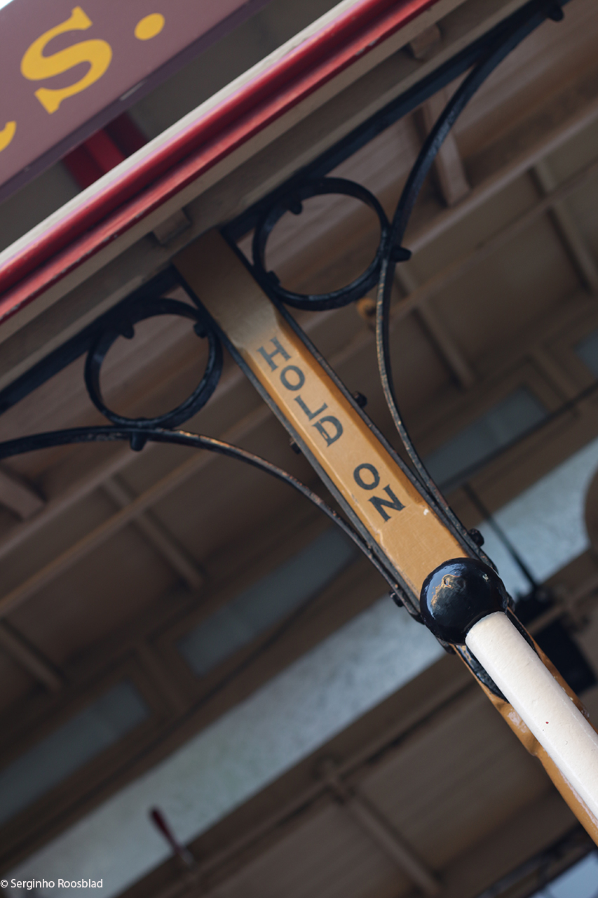 06_cablecar_roosblad