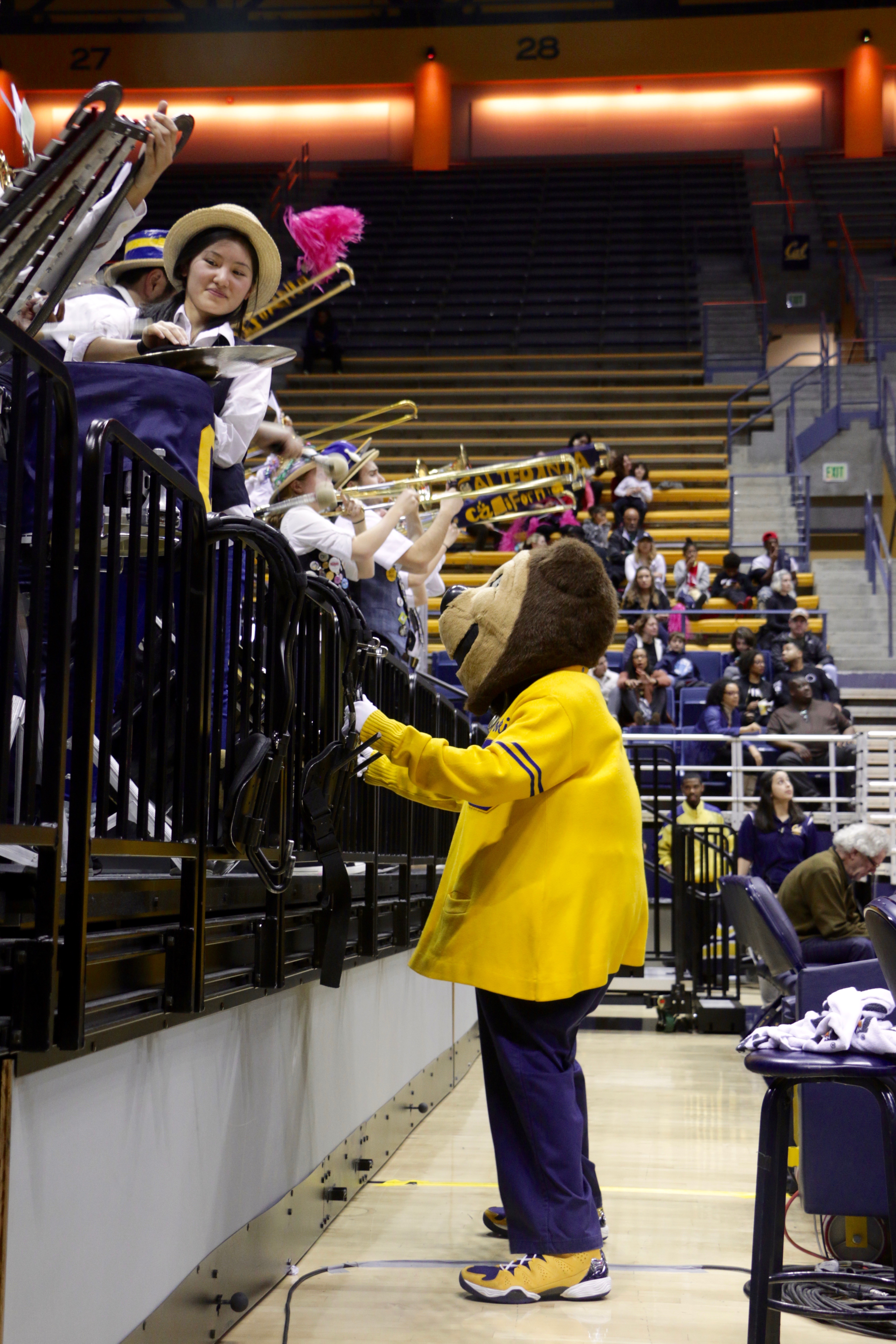 08_Oski_Davidson