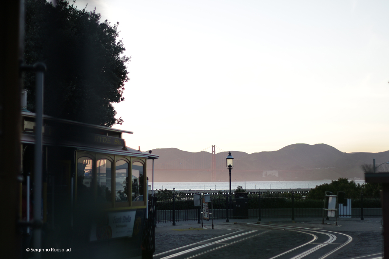 12_cablecar_roosblad